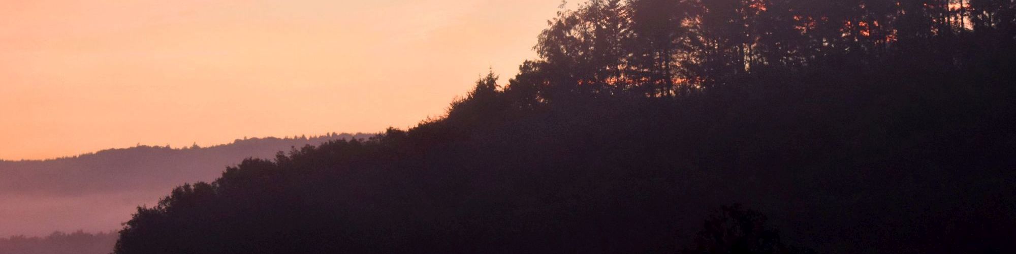 DSC_0629_b_2000x500