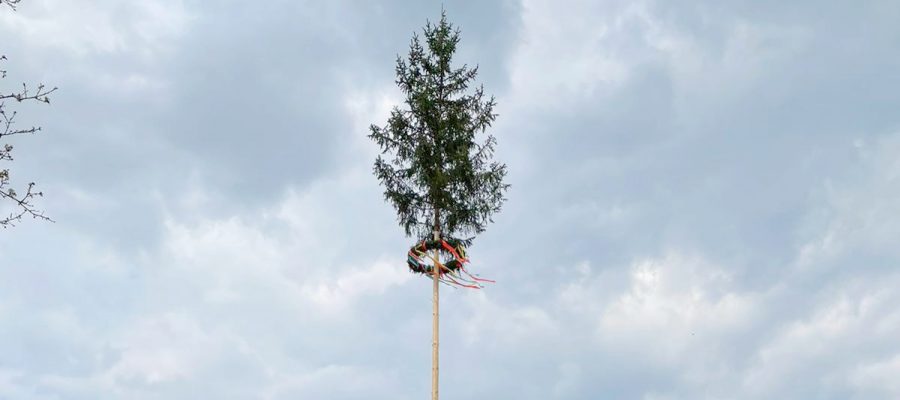 Maibaum_2022_Titel Maibaum_2022_Titel